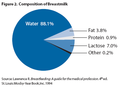 Figure 2. Composition of Breastmilk