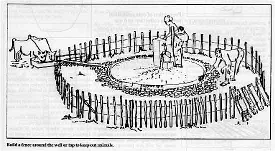 Build a fence around the well or tap to keep out animals. 