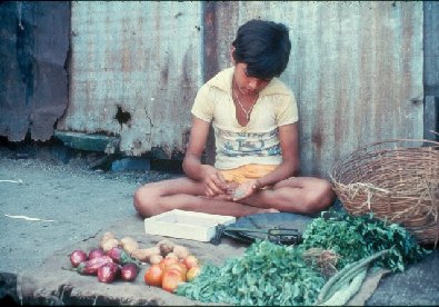 Babu selling vegetables- slide 53 - A Kind of Living