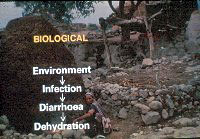A Simple Solution for Diarrhoea in infants and young children - Slide 44