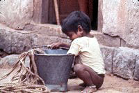 A Simple Solution for Diarrhoea in infants and young children - Slide 58