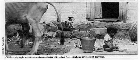 Children playing in an environment contaminated with animal faeces risk being infected with diarrhoea. 