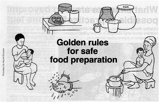 Golden rules for safe food preparation 