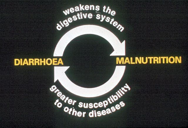Slide 31 - A Simple Solution to curb the effects of diarrhoea in infants and young children