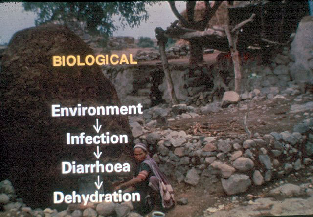 Slide 44 - A Simple Solution to curb the effects of diarrhoea in infants and young children